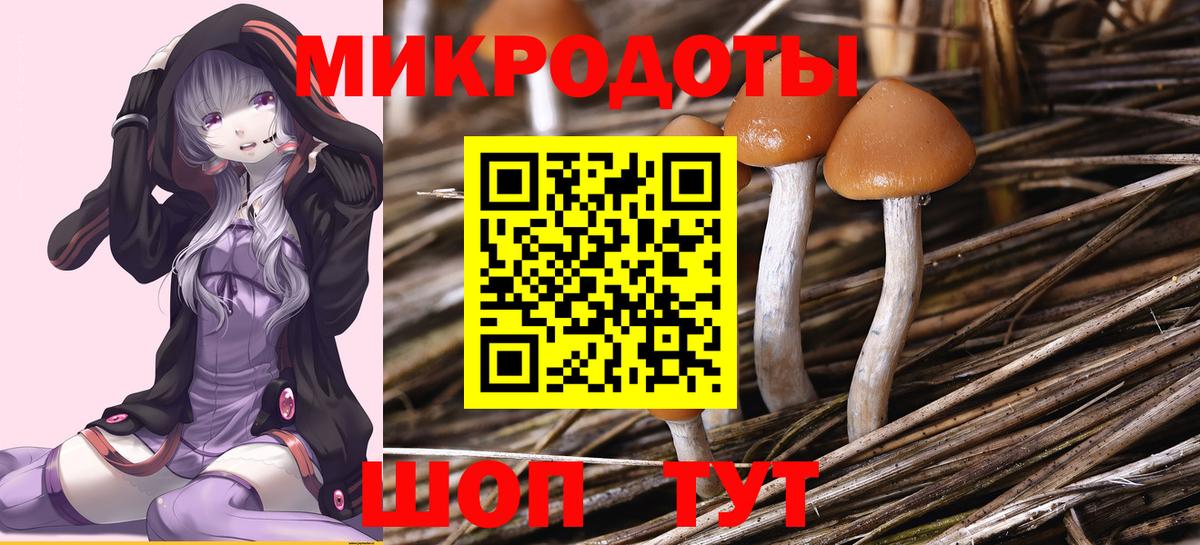 Галлюциногенные грибы MAGIC MUSHROOMS Хабаровск